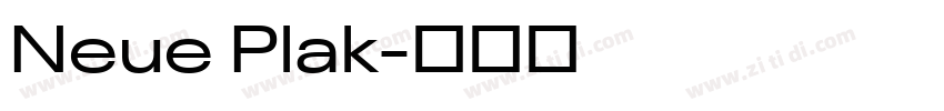 Neue Plak字体转换